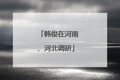 韩俊在河南、河北调研
