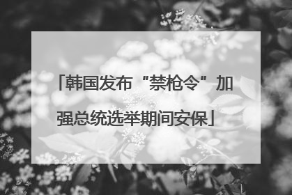 韩国发布“禁枪令”加强总统选举期间安保