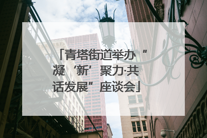 青塔街道举办“凝‘新’聚力·共话发展”座谈会