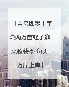 青岛即墨丁字湾两万亩蛏子迎来收获季 每天万斤上岸