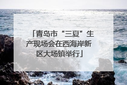 青岛市“三夏”生产现场会在西海岸新区大场镇举行