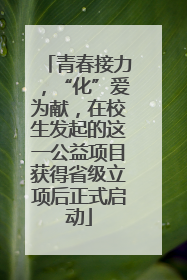 青春接力，“化”爱为献，在校生发起的这一公益项目获得省级立项后正式启动