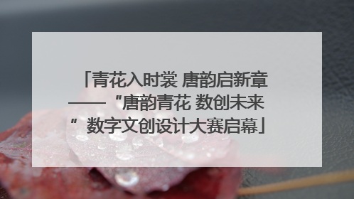 青花入时裳 唐韵启新章——“唐韵青花 数创未来”数字文创设计大赛启幕
