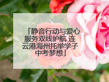 静音行动与爱心服务双线护航 连云港海州托举学子中考梦想