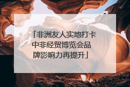 非洲友人实地打卡 中非经贸博览会品牌影响力再提升