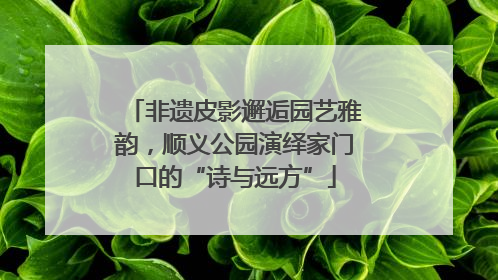 非遗皮影邂逅园艺雅韵，顺义公园演绎家门口的“诗与远方”