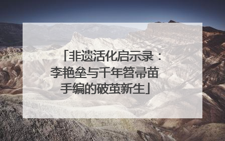 非遗活化启示录：李艳垒与千年笤帚苗手编的破茧新生