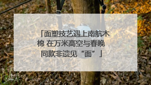 面塑技艺遇上南航木棉 在万米高空与春晚同款非遗见“面”