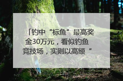 钓中“标鱼”最高奖金30万元，看似钓鱼竞技场，实则以高额“回报”作“饵”……｜今晚九点半