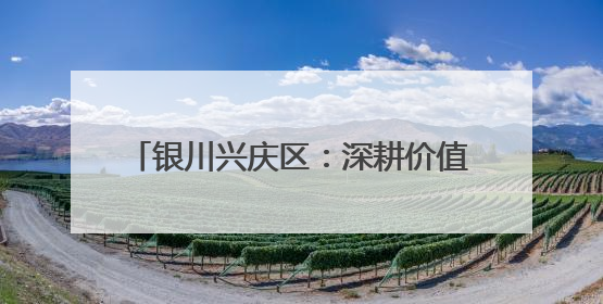 银川兴庆区：深耕价值沃土 绘制文明新画卷
