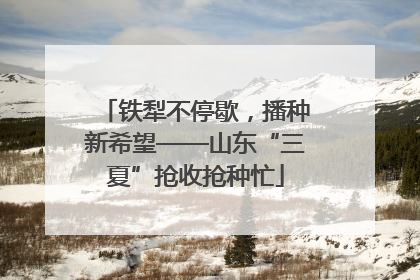铁犁不停歇，播种新希望——山东“三夏”抢收抢种忙