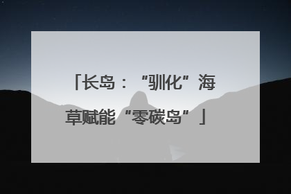 长岛：“驯化”海草赋能“零碳岛”