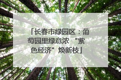 长春市绿园区：葡萄园里绿意浓 “紫色经济”焕新枝
