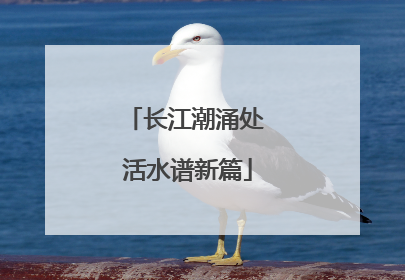 长江潮涌处 活水谱新篇