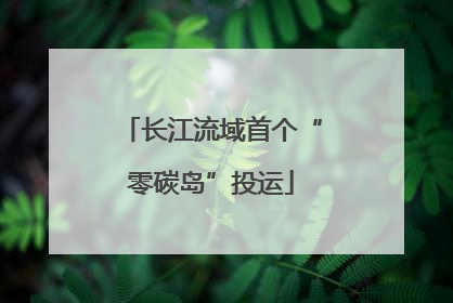 长江流域首个“零碳岛”投运