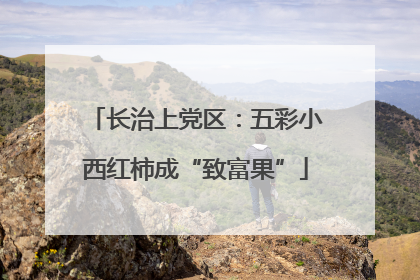 长治上党区：五彩小西红柿成“致富果”