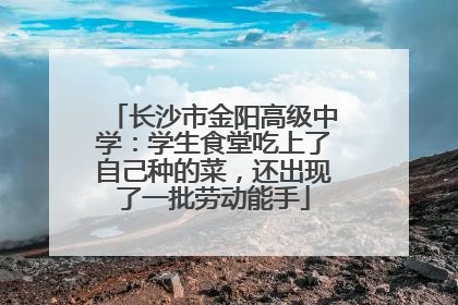 长沙市金阳高级中学：学生食堂吃上了自己种的菜，还出现了一批劳动能手