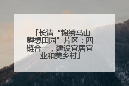 长清“锦绣马山 鲤想田园”片区：四链合一，建设宜居宜业和美乡村