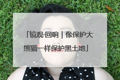 镜观·回响｜像保护大熊猫一样保护黑土地