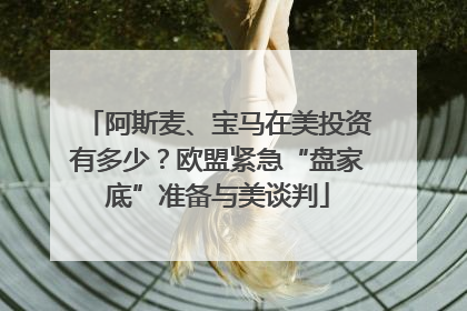 阿斯麦、宝马在美投资有多少？欧盟紧急“盘家底”准备与美谈判