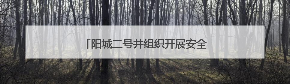 阳城二号井组织开展安全宣传咨询日有奖答题活动