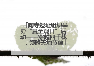 陶寺遗址组织举办“夏至观日”活动——穿越四千载，领略天地节律