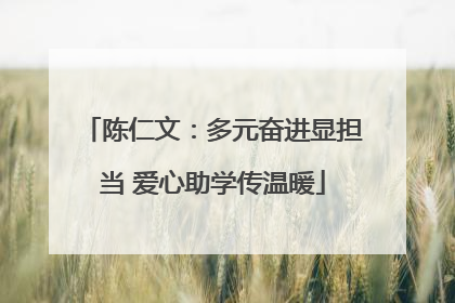 陈仁文：多元奋进显担当 爱心助学传温暖