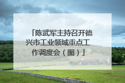 陈武军主持召开德兴市工业领域重点工作调度会（图）