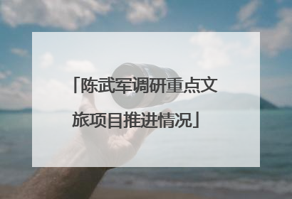 陈武军调研重点文旅项目推进情况