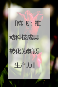 陈飞：推动科技成果转化为新质生产力