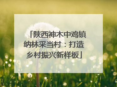 陕西神木中鸡镇纳林采当村：打造乡村振兴新样板