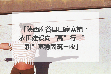 陕西府谷县田家寨镇：农田建设向“高”行 “耕”基稳固筑丰收