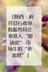 陕西：府谷县行政审批服务局企业准入“加速度” 市场生机“更盎然”