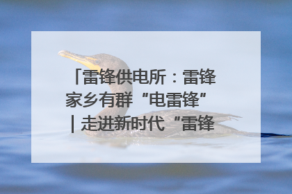 雷锋供电所：雷锋家乡有群“电雷锋”｜走进新时代“雷锋传人 长沙榜样”
