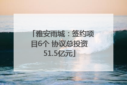 雅安雨城：签约项目6个 协议总投资51.5亿元