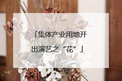 集体产业用地开出演艺之“花”