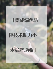 集成绿色防控技术助力小麦稳产增收