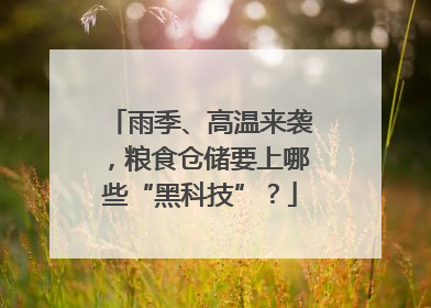 雨季、高温来袭，粮食仓储要上哪些“黑科技”？