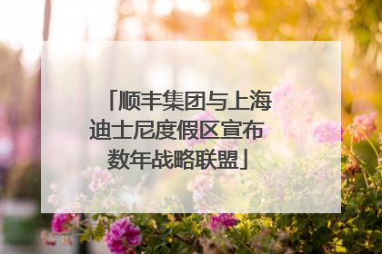 顺丰集团与上海迪士尼度假区宣布数年战略联盟