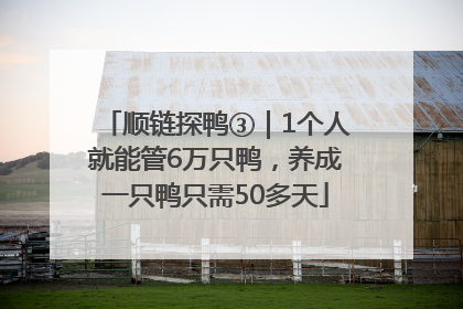 顺链探鸭③｜1个人就能管6万只鸭，养成一只鸭只需50多天