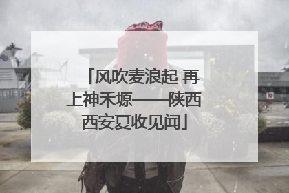 风吹麦浪起 再上神禾塬——陕西西安夏收见闻