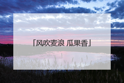 风吹麦浪 瓜果香