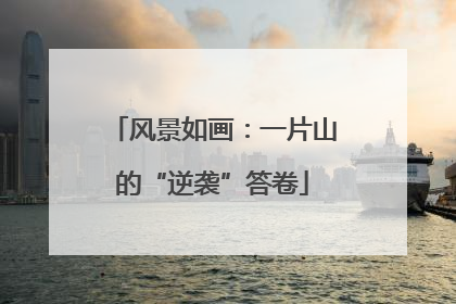 风景如画：一片山的“逆袭”答卷