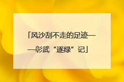风沙刮不走的足迹——彰武“逐绿”记