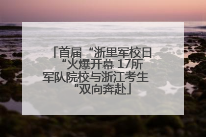首届“浙里军校日“火爆开幕 17所军队院校与浙江考生“双向奔赴