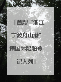 首艘“浙江宁波舟山港”籍国际船舶登记入列