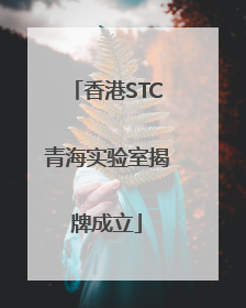 香港STC青海实验室揭牌成立
