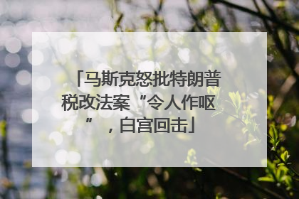 马斯克怒批特朗普税改法案“令人作呕”，白宫回击