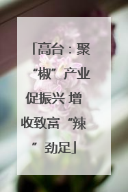 高台：聚“椒”产业促振兴 增收致富“辣”劲足