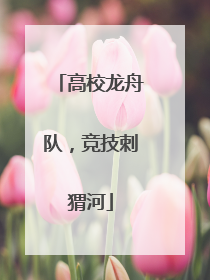 高校龙舟队，竞技刺猬河